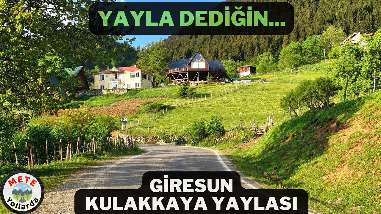 Yayla Dediğin Böyle Olur 🌲🚵. Giresun Kulakkaya Yaylası. Türkiye'nin En Güzel Yaylası.