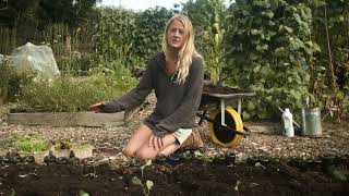 Growing Your Own Veg over Autumn and Winter