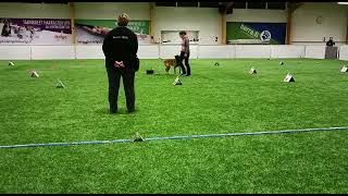 Oikukas Cena Rally-Tokon Mestariluokka 26.3.2022.