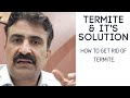 How to solve Termite Problem | Anti Termite Treatment | दीमक से कैसे छुटकारा पाए।