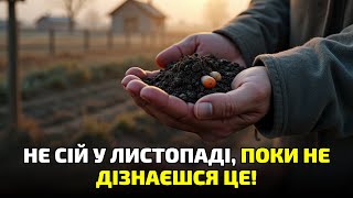 видео: Підзимовий посів у листопаді: 7 речей, які обов’язково треба зробити, щоб не втратити врожай! картинка: Підзимовий посів у листопаді: 7 речей, які обов’язково треба зробити, щоб не втратити врожай!