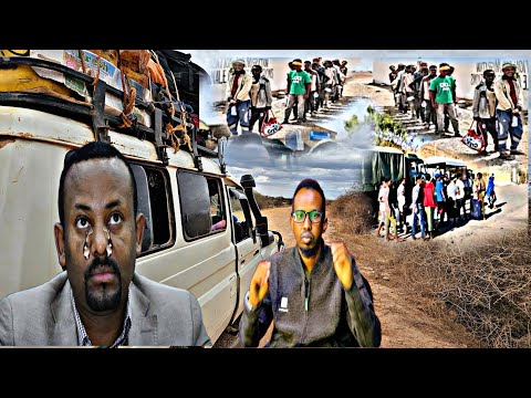 Daawo Somalida Oo Adisababa Laga Raafaayo Oromadii La Raafay Oo Oohin Afka Furtay 