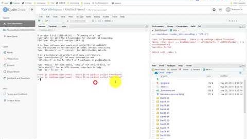 How to use Rstudio cloud to translate a book with BOOKDOWN