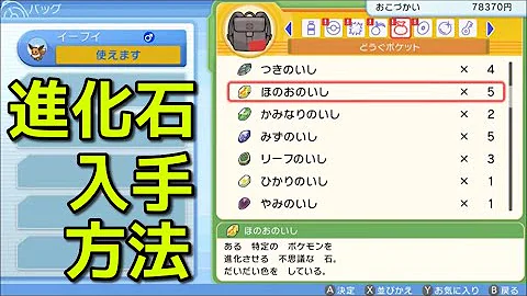 ダイパ石進化
