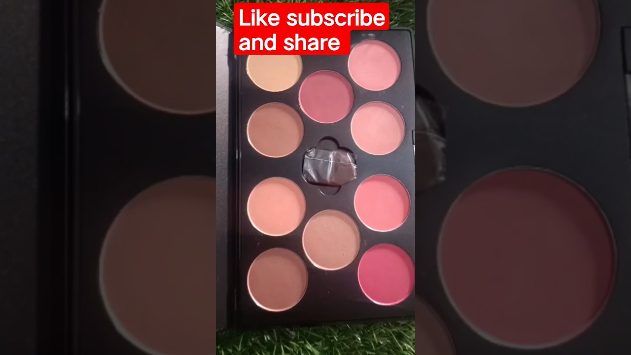 miss Claire professional blusher palette 