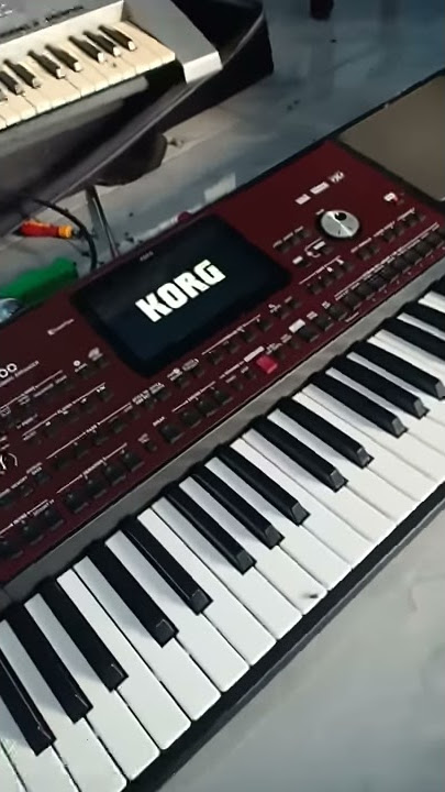 kelemahan korg pa700
