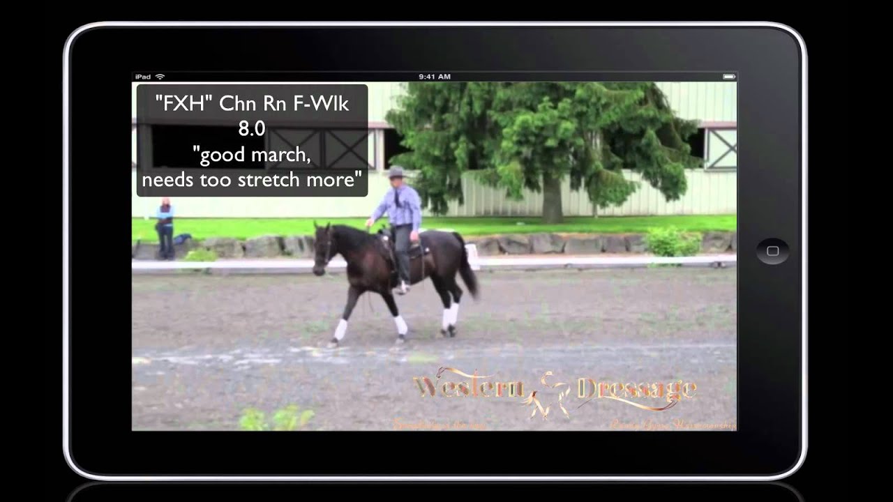 USEF Western Dressage Basic Test 1 What Does 80 174 Look Like YouTube