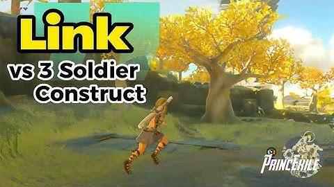 Tears of the Kingdom - Link vs 3 Soldier Construct | The Legend of Zelda TOTK