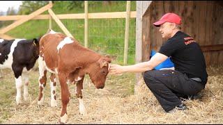 Rissa Arbeiderparti - Petter Harald Kimo