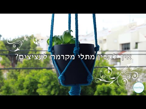 וִידֵאוֹ: מתלה עם ירקות