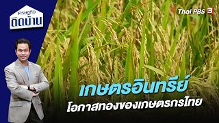 เกษตรอินทรีย์ โอกาสทองของเกษตรกรไทย | เศรษฐกิจติดบ้าน