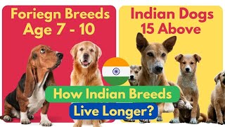 Why Indian Dogs Live Longer | Indian Dogs Vs Foreign Dogs | Indian Dog Breed In Hindi