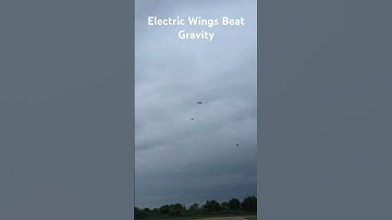 Realistic Bird Flight Achieved! #MechanicalBird #RobotBird #RCBird #BirdVsRobot #FlyingRobot