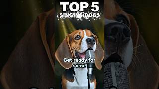 Top 5 SINGING DOGS. Unveiling Canine Crooners.   #singingdogs