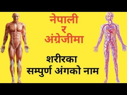 सम्पुर्ण शरीर का अंगहरु को नाम नेपाली र अंग्रेजी मा || All Human body parts Name in Nepali & English