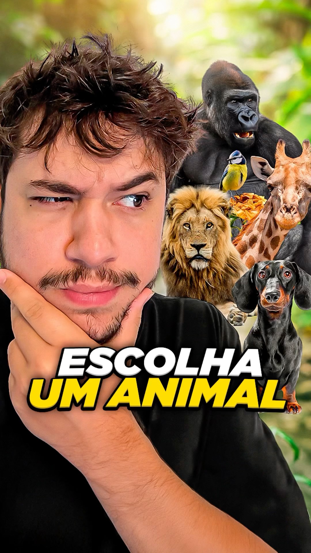 escolha um animal #livedobrino #humor #MundinhoBrino