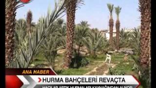 MEDINE HURMA BAHCESI TRT-1.avi