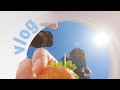 밴쿠버 일상 브이로그 | 캐나다 딸기 따러 가요🍓즐거운 노동의 주말 일상 | 자연이 주는 힘 🌿| 반려식물 구경 | strawberry picking