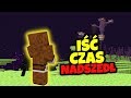 MINECRAFT DAILY #13 - CZAS NA ELYTRE