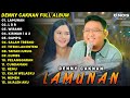 LAGU JAWA TERBARU 2024 | DENNY CAKNAN FULL ALBUM TERBARU 2024 | LAMUNAN, WIRANG, LDR | LAGU JAWA