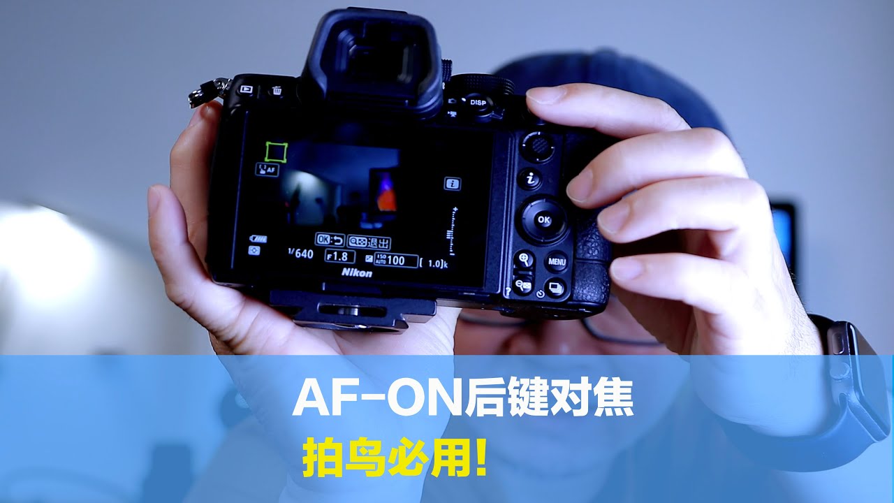 AF-ON后键对焦，为什么拍鸟的朋友必用？分享跟踪拍摄方法与设置