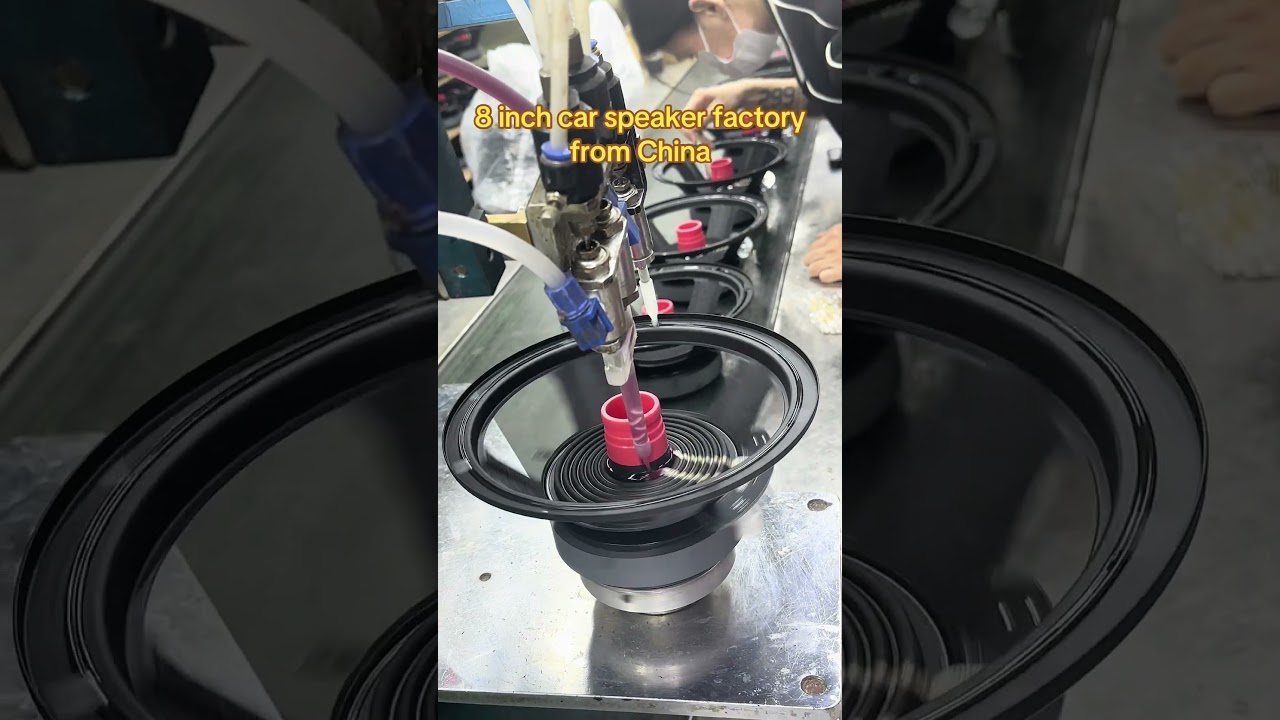 This is a professional speaker manufacturing factory from china.