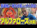 【ひげ紳士の珍古台バンザイvol.116】アルファローズ(大同)