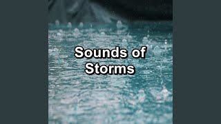 Loopable Rain Drops Sound Over Trees