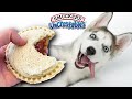 Making 100 Uncrustables for Homeless Dogs