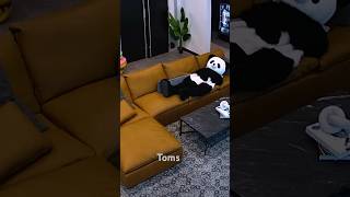 Dude Perfect Panda Reveal