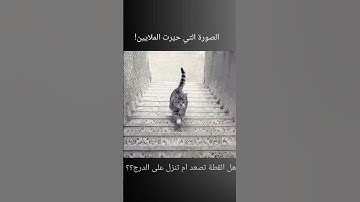 القرآن الكريم #راحة_نفسية #ارح_قلبك #محمد_اللحيدان