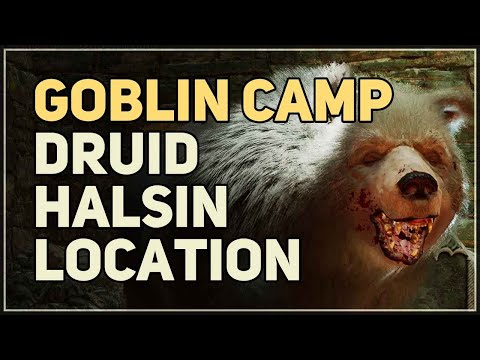 Goblin Camp Druid Halsin Location Baldur's Gate 3