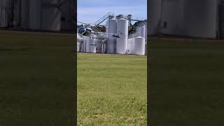 Flight and Lunch - The Currant Shed