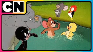 Tom \& Jerry🐭😺| Jerry’s Tiny Rescue Mission!😍| Cat and The Mouse | Cartoon for Kids ✨| @cnindia​