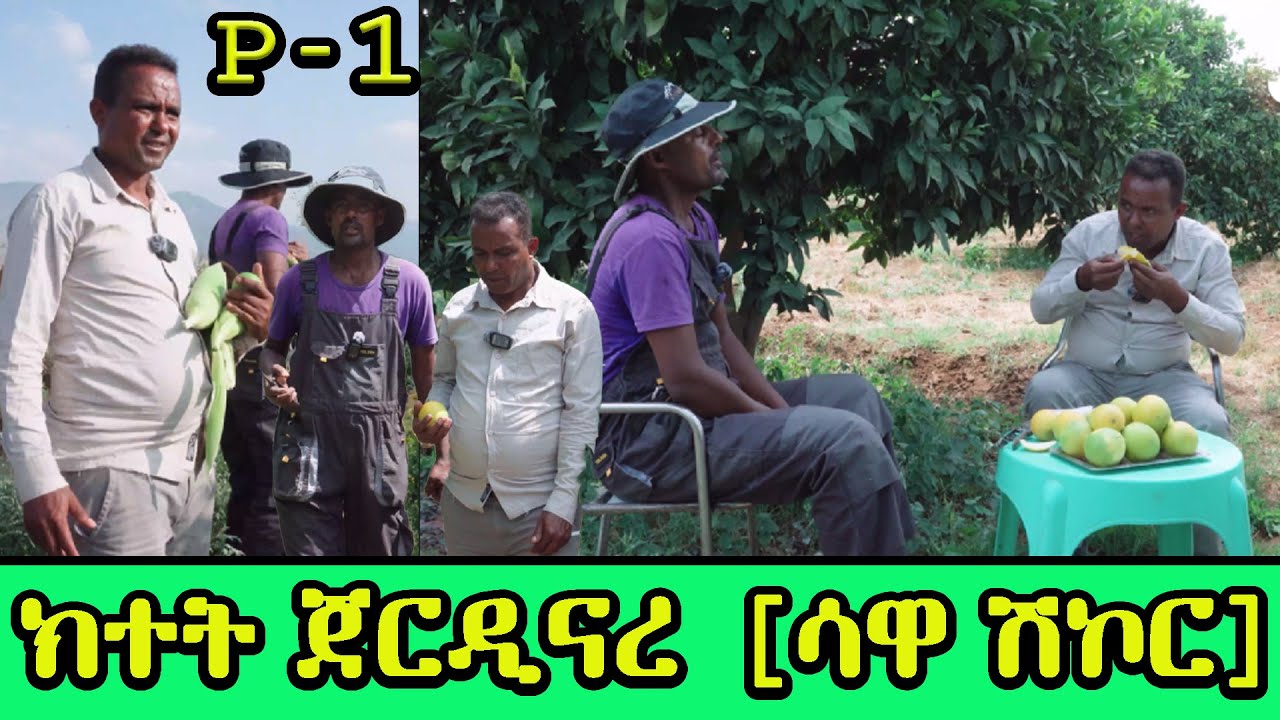 New Eritrean Goytom Afewerqi Sawa Shikor : ክተት ጀርዲናረ | ሳዋ ሽኮር  ktet part one #eritreanmusi #eritrean