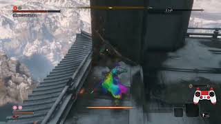 [Sekiro] Inner Genichiro AP1 DB+Charmless sword only no skills hitless @spiralout1123211