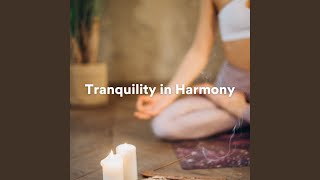 Calm Waterside Echoes (Healing Sounds)