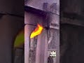 Kristallnacht: The Night of Broken Glass