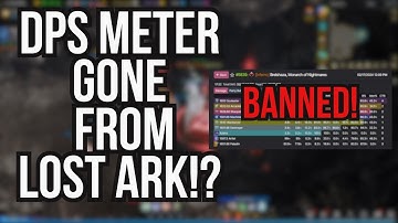 A Final Tribute To DPS Meter in Lost Ark