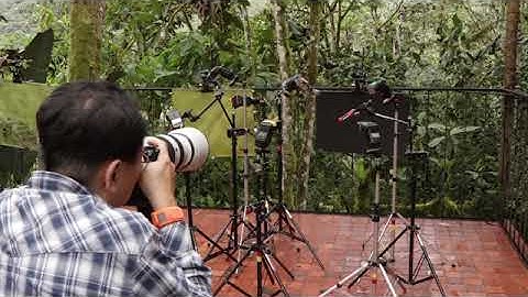 Phottix Juno Video and Ares II