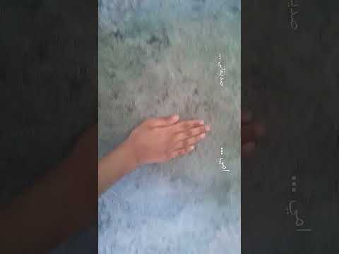 امي ثم امي ثم امي امي هي السعاده و القلب والفرح ونور عيني