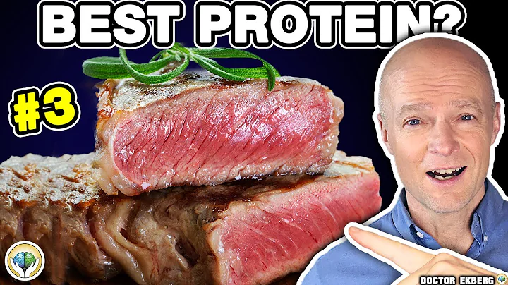 Top 10 Foods High In Protein That You Should Eat