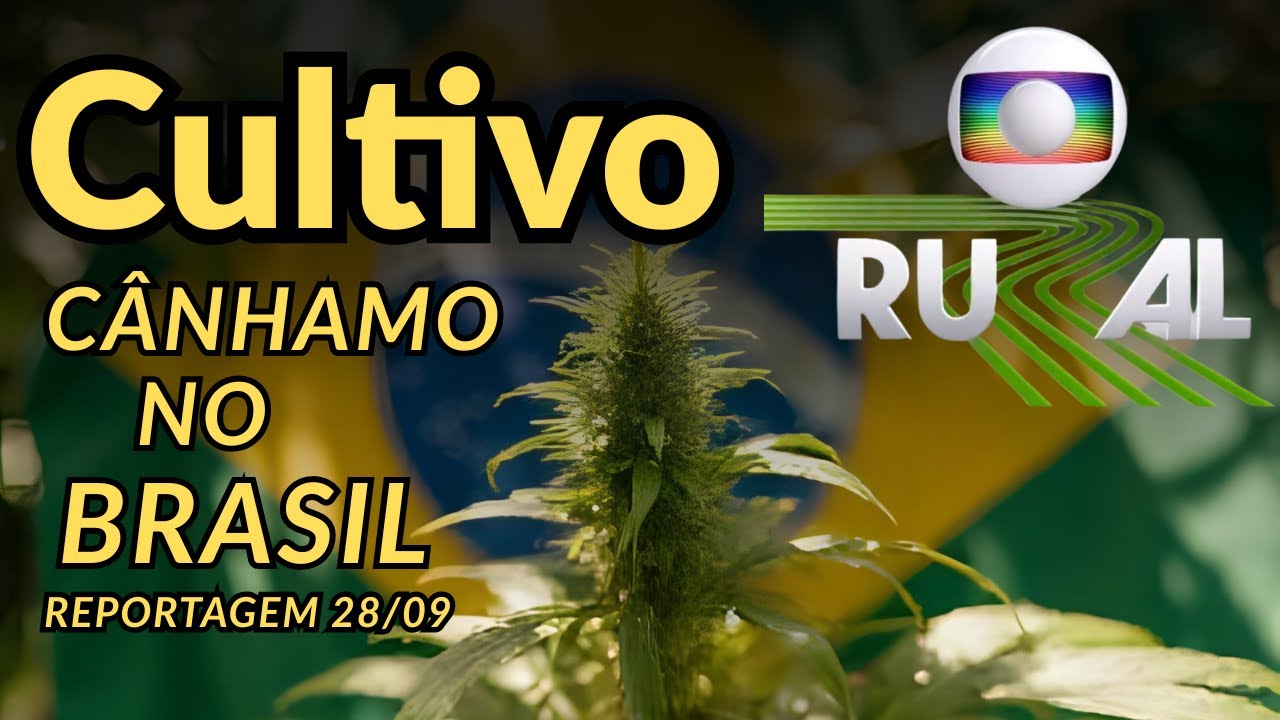 Reportagem no Globo RURAL 28/09/2025 sobre os Usos da Cannabis e Cultivo de Cânhamo no Brasil