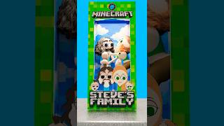 Steves Family In A Box