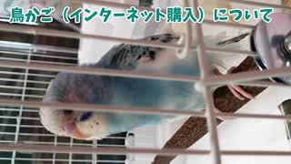 16鳥かご完成/移動