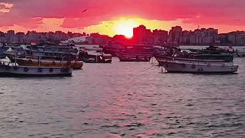 مقطع سوره التكوير محمد نجم