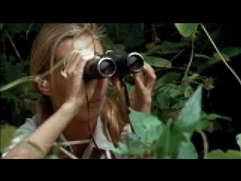 Dr. Jane Goodall: Primatology & The Leakey Foundation - YouTube