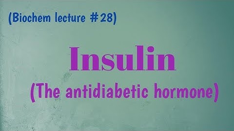 Insulin | Nature, release, function and deficiency | Urdu lecture | Learn with Aroosa waheed