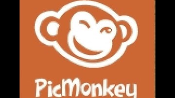 Cropping a Picture in Picmonkey