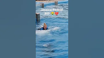 Jessica Radcliffe Orca Attack Video Jessica Radcliffe Real Video 